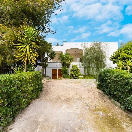 فيلة Camilla A *